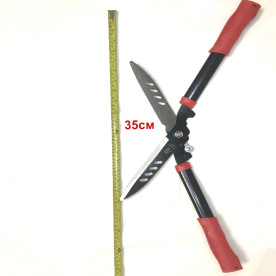 hover image